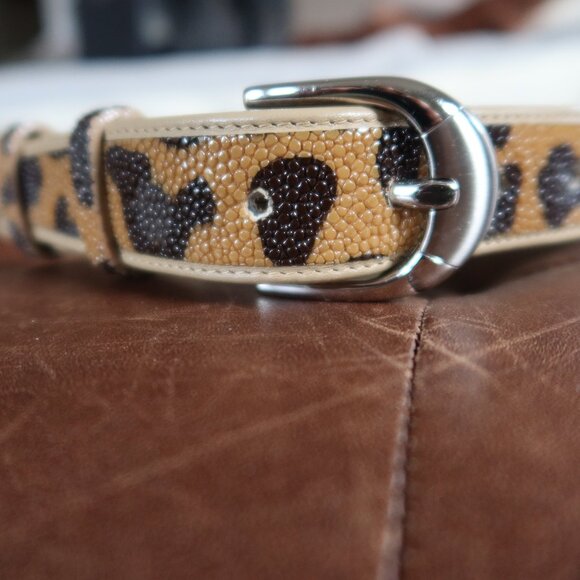 Unisex leopard print genuine stingray and leather belt silver buckle 32 - 35\